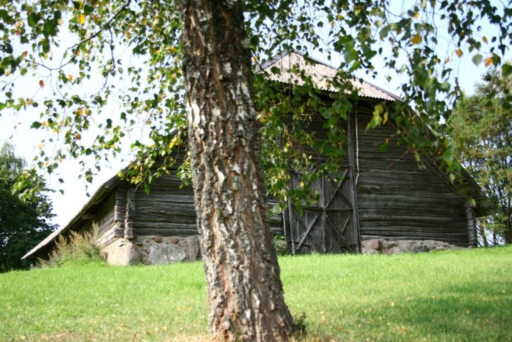 Загородные дома Kačiūniškių vienkiemis Kaciūniškiai